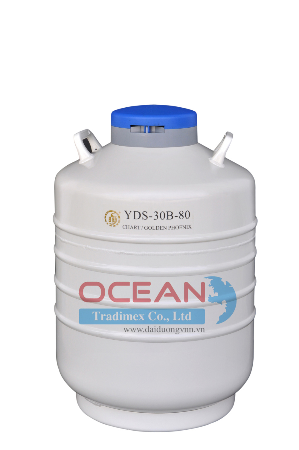 Bình Chứa Ni-tơ Lỏng YDS-30B-80